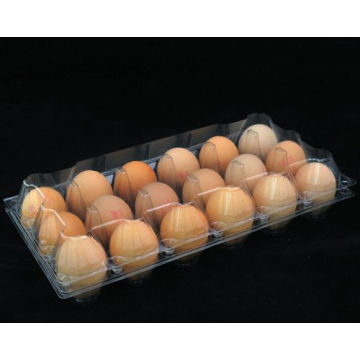 China Supply Hatching Chicken Eggs Kunststoff Ei Tray